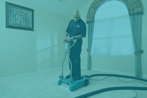 carpet cleaning