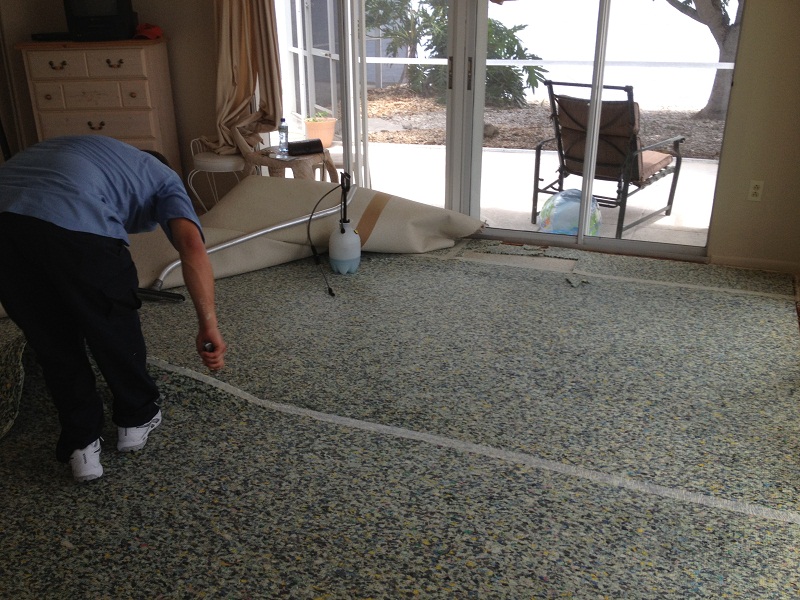 Carpet