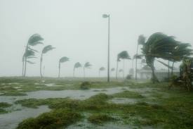 Hurricane