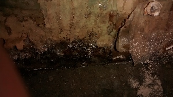mold remediation