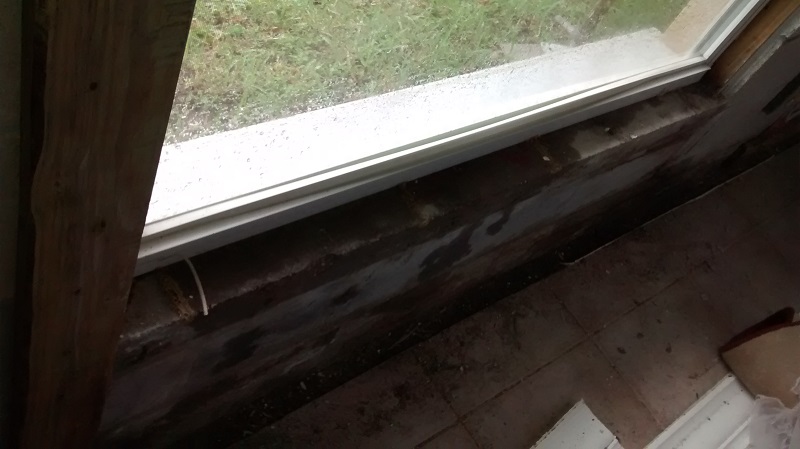 mold remediation