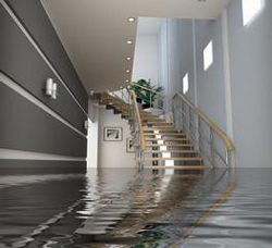 Water damage problems in Bonita Springs