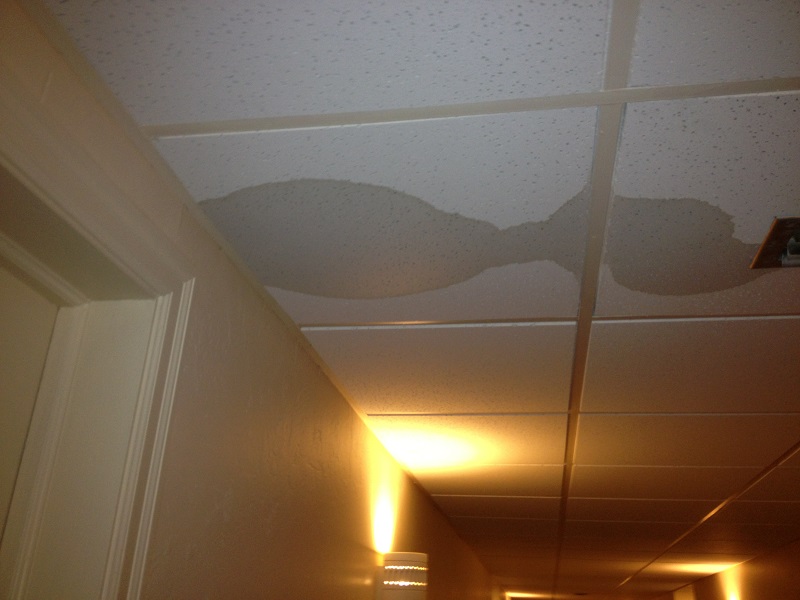 water damage company