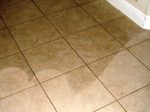 Tile and Grout