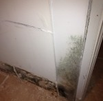 Wall Water Damage