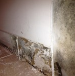 Wall Water Damage Reveal