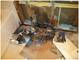 Mold Remediation Ocean Front