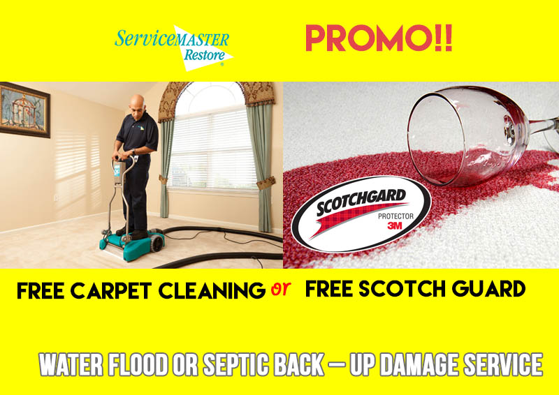 carpet cleaning promo