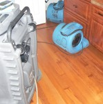Water Damage Cleaning Toilet