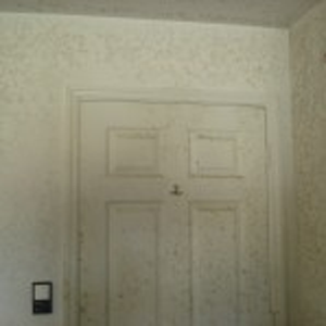Water Extraction and Mold Remediation Cape 2