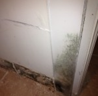 Water Damage 3